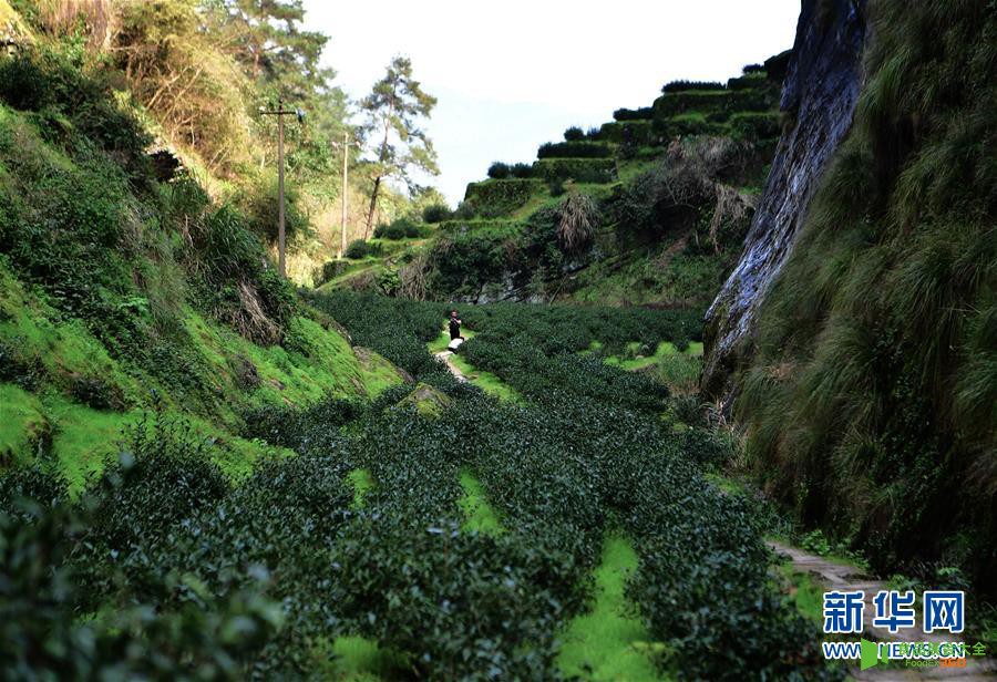 ï¼æ°åè§ç¹Â·å¾æäºå¨ï¼ï¼2ï¼éæè´´âå¤§å¸ââå±±åºâæ ç­¾ï¼1æ¤å²©è¶è½çå°å ååå°æ°åä¸åï¼