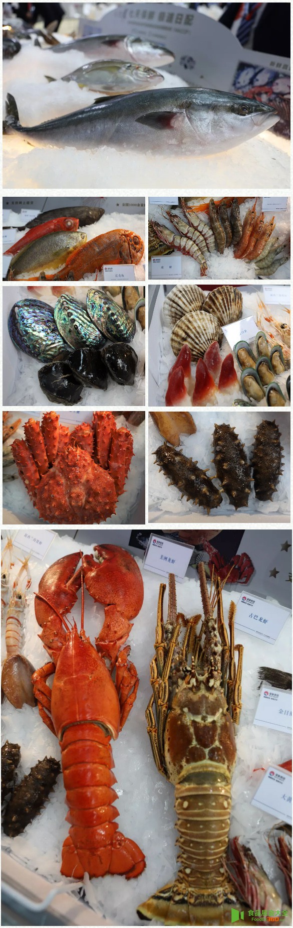 瑞驰集团青岛渔博会现场精彩直击食品展会大全网