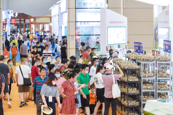 2020年首届中国（福建）食用菌产业博览会（资料图）